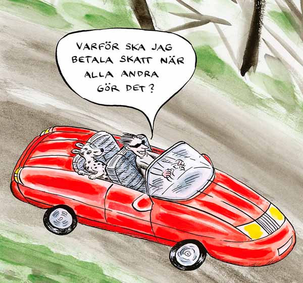 Bild: Robert Nyberg