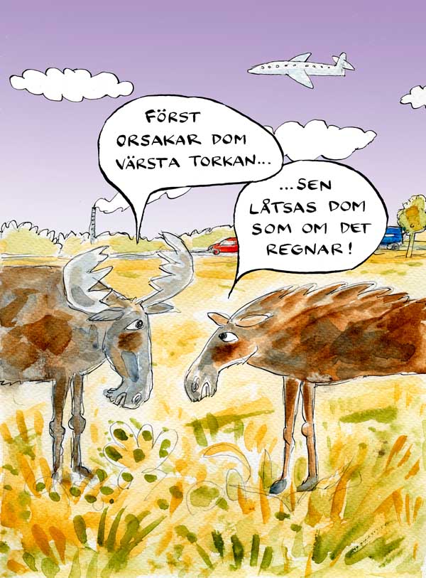 Bild: Robert Nyberg