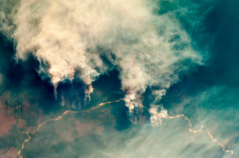 Skogsskövling i Amazonas.Foto:Expedition 29 courtesy ... NASA: Julian Herzog, Public domain, via Wikimedia Commons