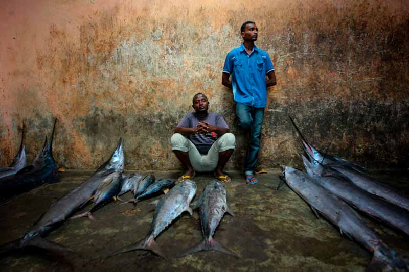EU:s rovfiske har slagit ut mycket av fisket i Somalia. Foto: Stuart Price. or NMUIM/Alamy Stock Photo