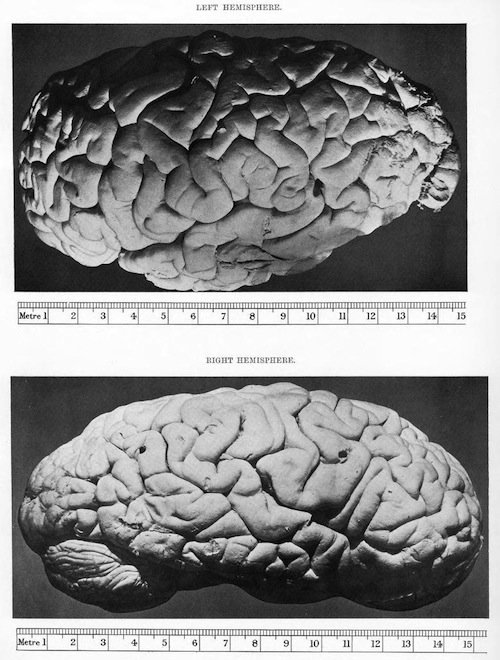 Bild: Public Domain Archive